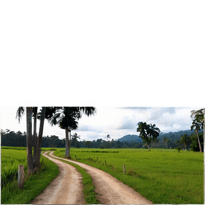 Peaceful Countryside Trail PNG 06202024 PNG with transparent background