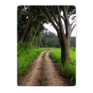 Peaceful Countryside Trail PNG 7 PNG with transparent background