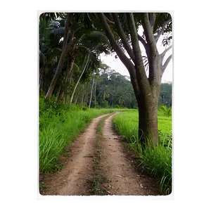 Peaceful Countryside Trail Png 7 PNG Image