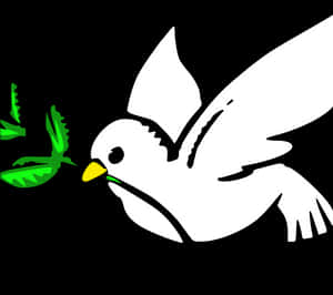 Peaceful Dovewith Olive Branch PNG image with transparent background