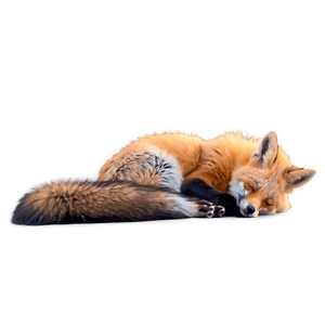 Peaceful Sleeping Fox PNG lfj15 PNG image with transparent background