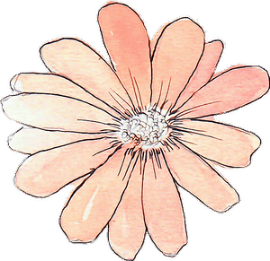 Tumblr Drawing Watercolor Peach Flower - Flowers Png Tumblr Draw, Transparent Png PNG image with transparent background