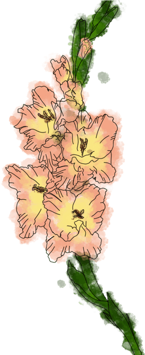 Fire Lily, HD Png Download PNG image with transparent background