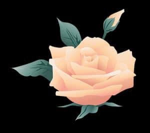 Peach Rose Illustration PNG image with transparent background