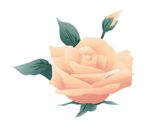 Peach Rose Illustration PNG Image