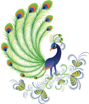 Peacock Clipart Adorable - Beautiful Designs Of Peacock, HD Png Download PNG image with transparent background