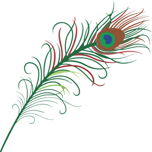 Peacock_ Feather_ Artistic_ Rendering PNG Image