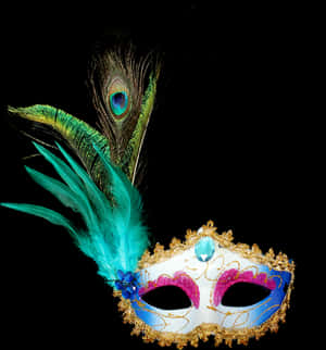 Mardi Gras Feathers Png - Colorful Feather Masquerade Mask, Transparent Png PNG image with transparent background