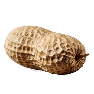 Peanut PNG 94 PNG with transparent background
