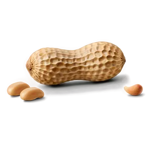 Peanut Png Oub PNG Image