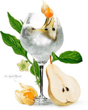 Pear Cocktail Artistic Composition PNG image with transparent background
