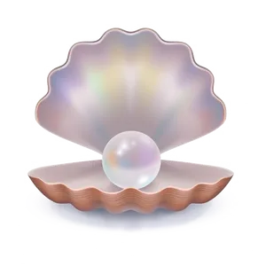 Pearlin Shell Illustration PNG Image