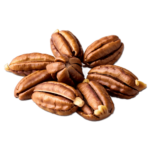 Pecan Cluster PNG 06272024 PNG