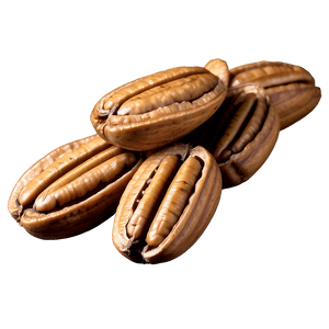 Pecan Cluster PNG 06272024 PNG with transparent background