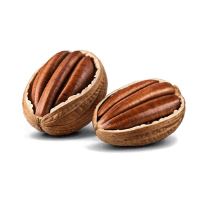 Pecan Nut PNG cnh PNG with transparent background
