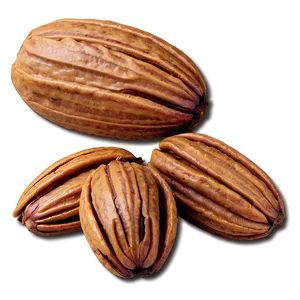 Pecan Nut Png Frm PNG Image