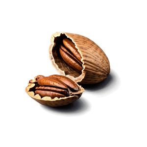 Pecan Shell PNG ulx20 PNG with transparent background