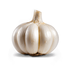 Peeled Garlic PNG uky PNG image with transparent background