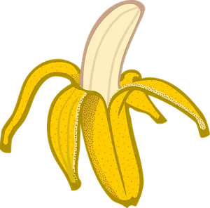 Peeling Banana Vector Illustration PNG Image