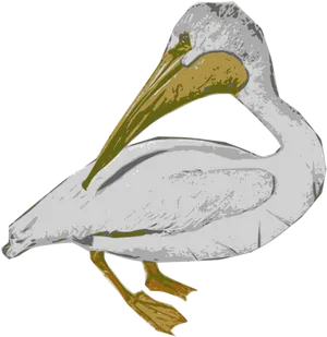 Pelican Illustration Artwork PNG Image