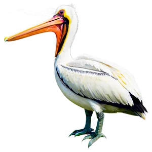 Pelican With Young Ones Png Xue92 PNG Image