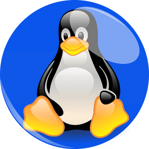 Penguin, Linux, Mascot, Blue, Cartoon Character, Figure - Pinguim Linux Mascote, HD Png Download PNG image with transparent background