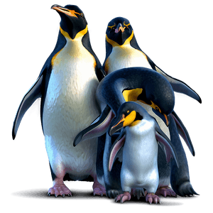 Penguins Illustration PNG rik31 PNG