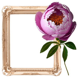 Peony Flower Frame PNG 05252024 PNG image with transparent background