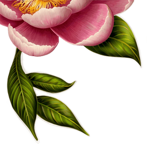 Peony Tattoo PNG   05042024 PNG image with transparent background