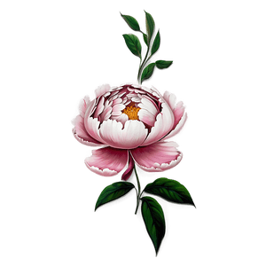 Peony Tattoo PNG   oci35 PNG image with transparent background