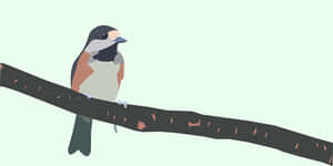 Perched Sparrow Illustration PNG image with transparent background