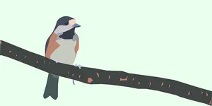 Perched Sparrow Illustration PNG Image