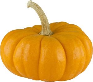 Pumpkin Png Images Transparent - Pumpkin, Png Download PNG