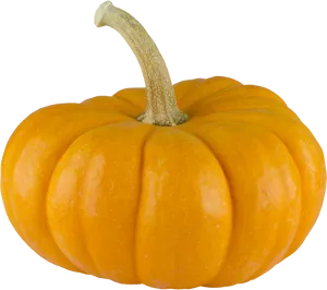 Perfect Orange Pumpkinon Blue Background.png PNG Image