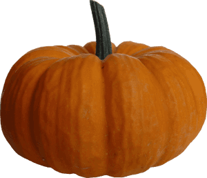 Download Pumpkin Png File - Pumpkin Png Transparent, Png Download PNG