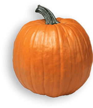 Transparent Pumpkin Farm Clipart - Pumpkin Png, Png Download PNG