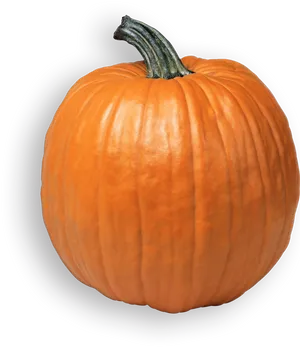 Perfect Orange Pumpkinon Gray Background.png PNG Image