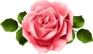 Perfect Pink Rose Illustration PNG Image