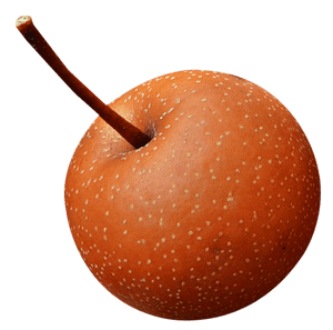 Perfect Red Apple PNG with transparent background