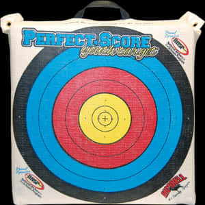 Perfect Score Archery Target PNG image with transparent background