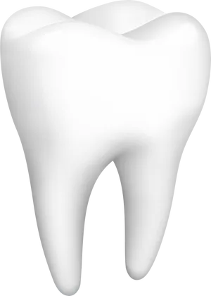 Perfect White Molar Tooth PNG Image