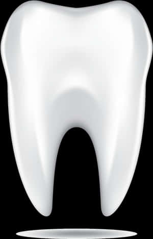Tooth Model Stone Mountain, Ga - White Transparent Tooth, HD Png Download PNG image with transparent background