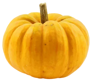 Perfect Yellow Pumpkin Isolated Background.png PNG Image