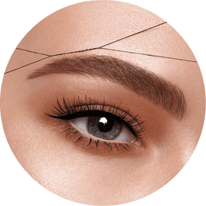 Perfectly Groomed Eyebrowand Eye Makeup PNG image with transparent background