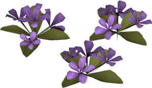 S Wild Petunia - Periwinkle, HD Png Download PNG image with transparent background