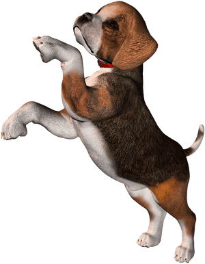 Perro Clipart Beagle - Beagle Png, Transparent Png PNG image with transparent background