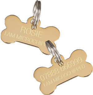 Cartoon, HD Png Download PNG