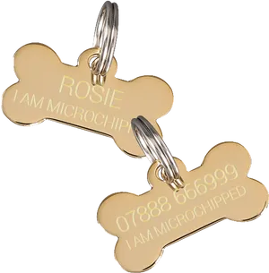 Personalized Dog Bone I D Tags PNG Image