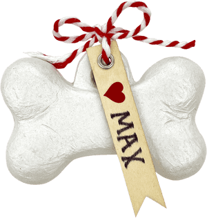 Christmas Stocking, HD Png Download PNG