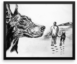 Australian Cattle Dog, HD Png Download PNG with transparent background